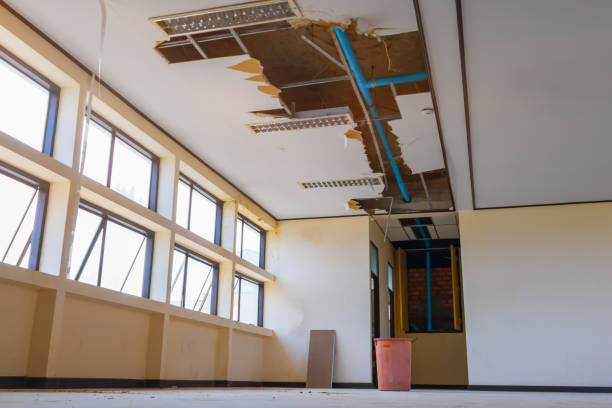 Best Ceiling water damage repair  in Mount Wolf, PA