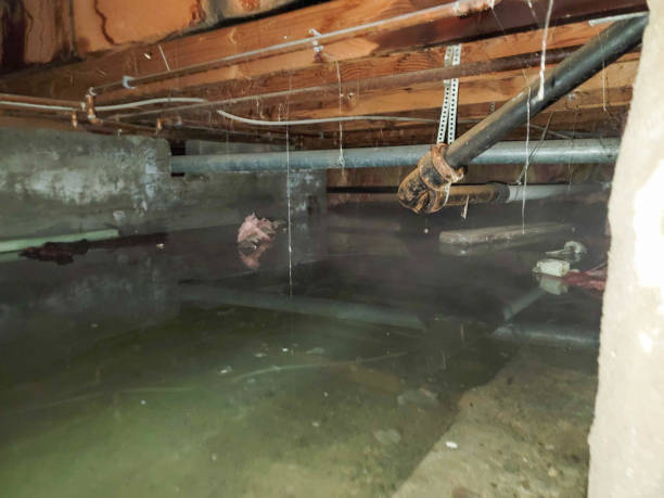 Local water damage restoration in Mount Wolf, PA