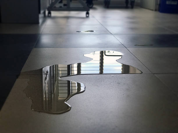 Best Water damage restoration near me  in Mount Wolf, PA