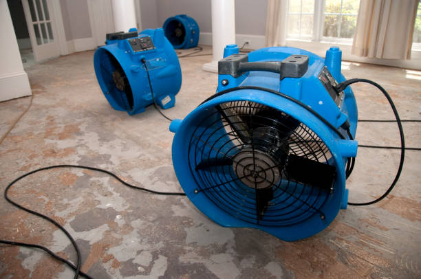 Best Water damage cleanup near me  in Mount Wolf, PA
