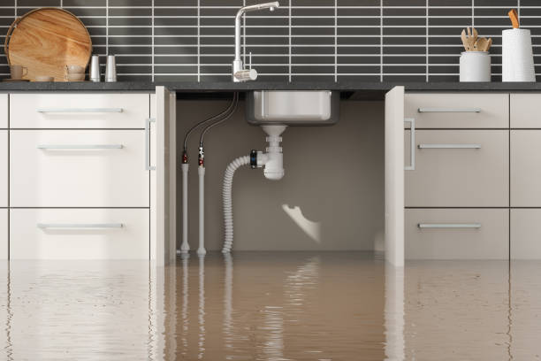 Best Water damage restoration specialists  in Mount Wolf, PA
