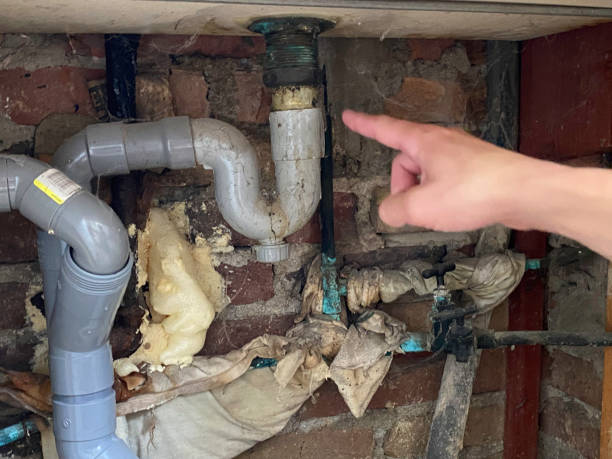 Best Flood restoration services  in Mount Wolf, PA