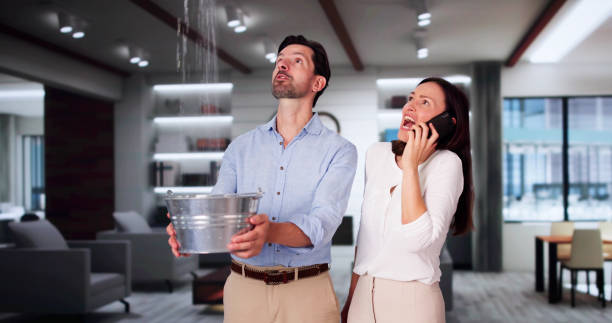 Best Basement water damage restoration  in Mount Wolf, PA