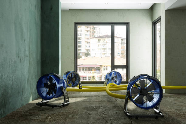 Best Professional water damage repair  in Mount Wolf, PA