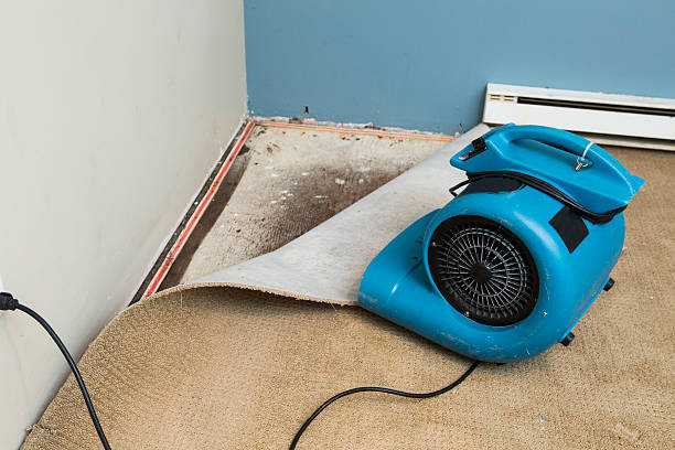Best Local water damage restoration  in Mount Wolf, PA
